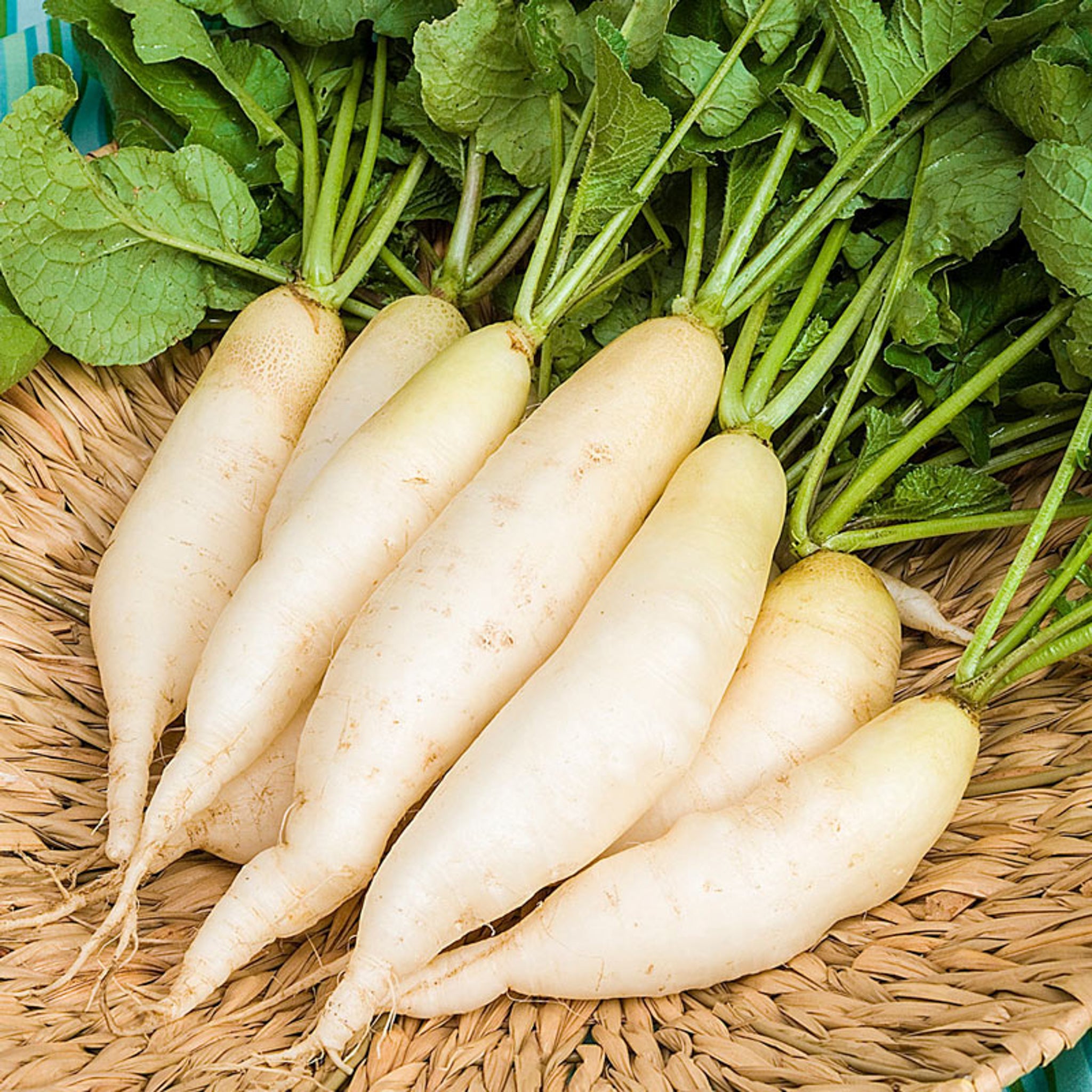 หัวผักกาดขาวหรือ Daikon ร้านขายของชำ Delivery กรุงเทพมหานคร Happy