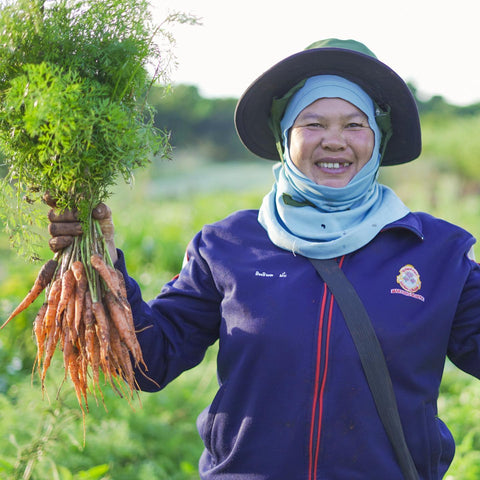 Smile farmers carrot organic farm