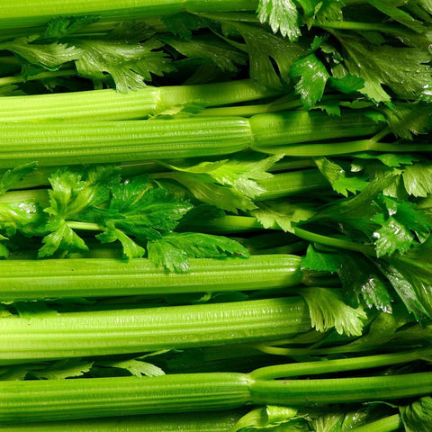 Celery • ~450g