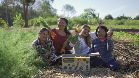 food sustainability startup founders from Thailand with local farmers at the farm in Chiangmai