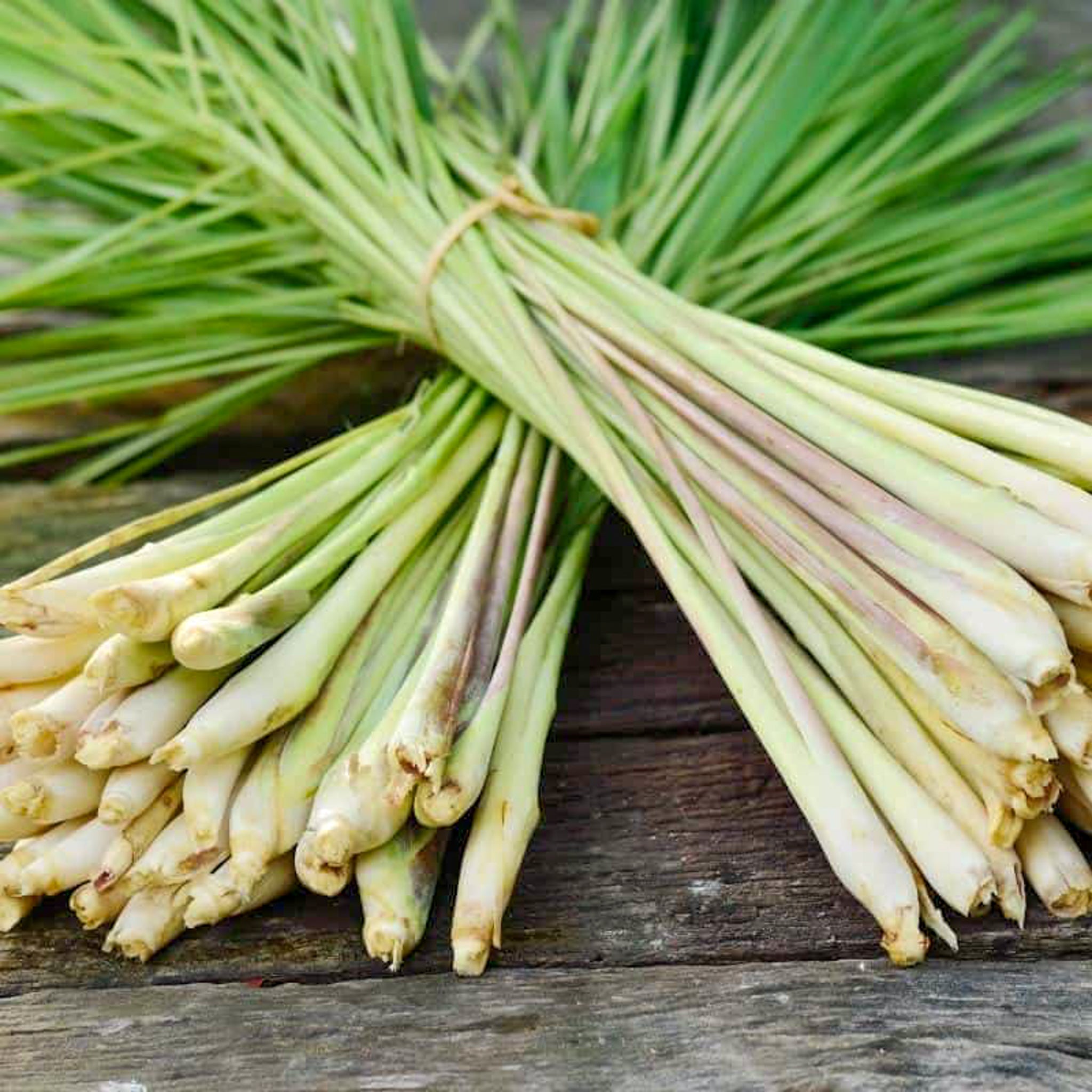 Organic Lemongrass | Grocery Delivery Bangkok – Happy Grocers Thailand