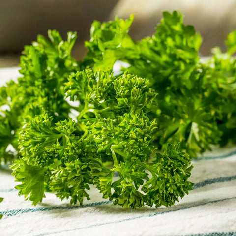Curly Parsley • 50g