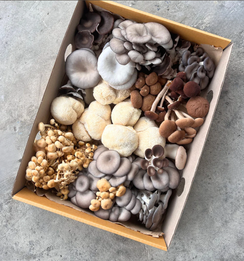 Grower’s Choice Mix Mushroom : 400 g