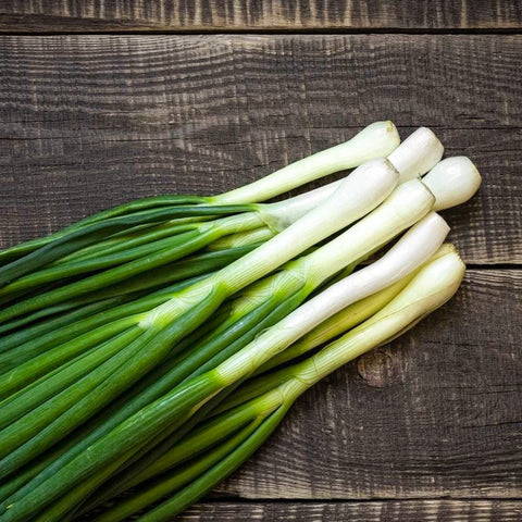Organic Spring Onion / Scallion • 50g