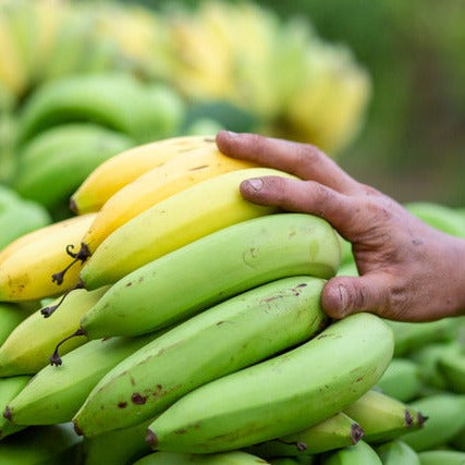 バナナ • シングル